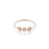 Teorema Flowers ring