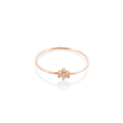 Anello Teorema 1 flower